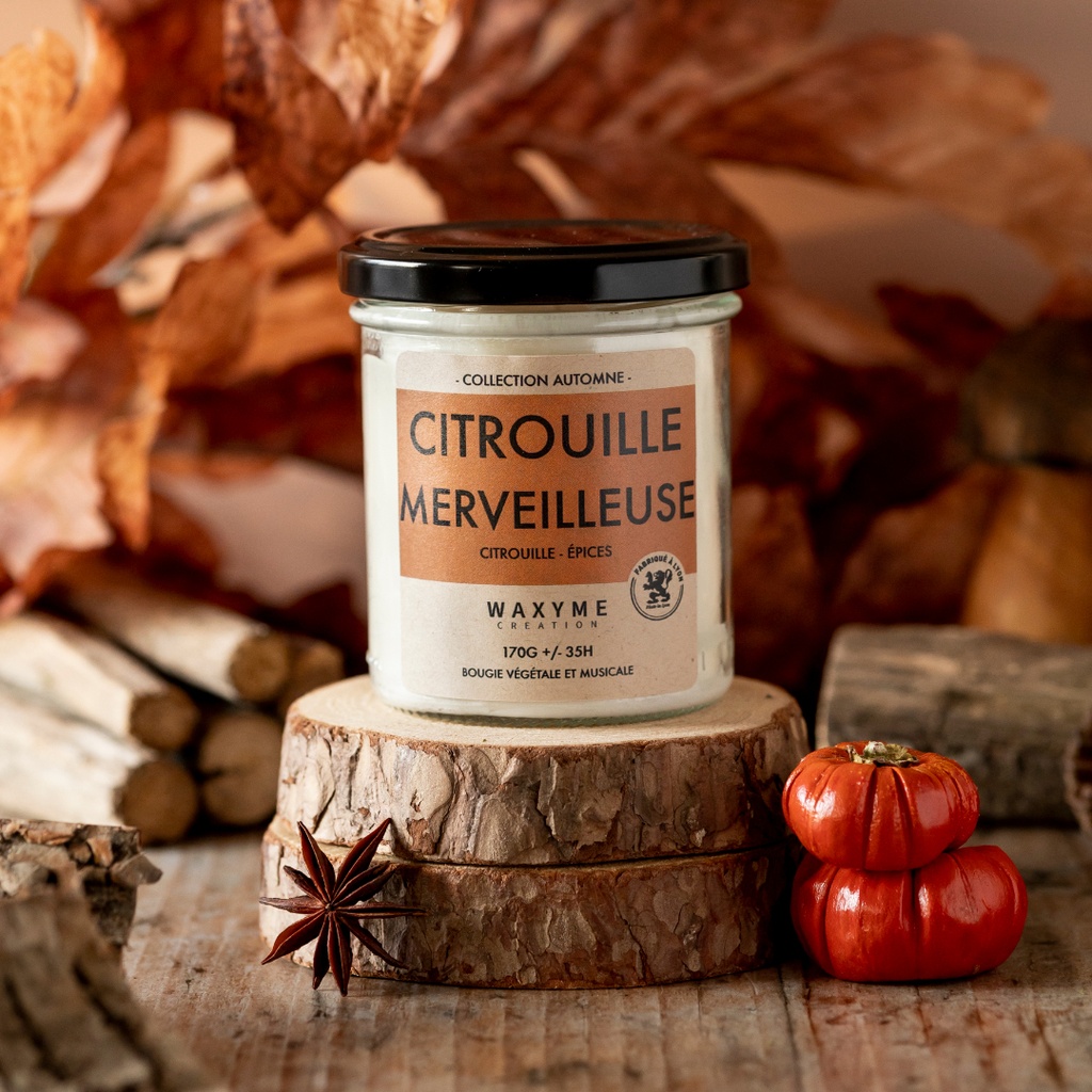 Citrouille Merveilleuse PRO