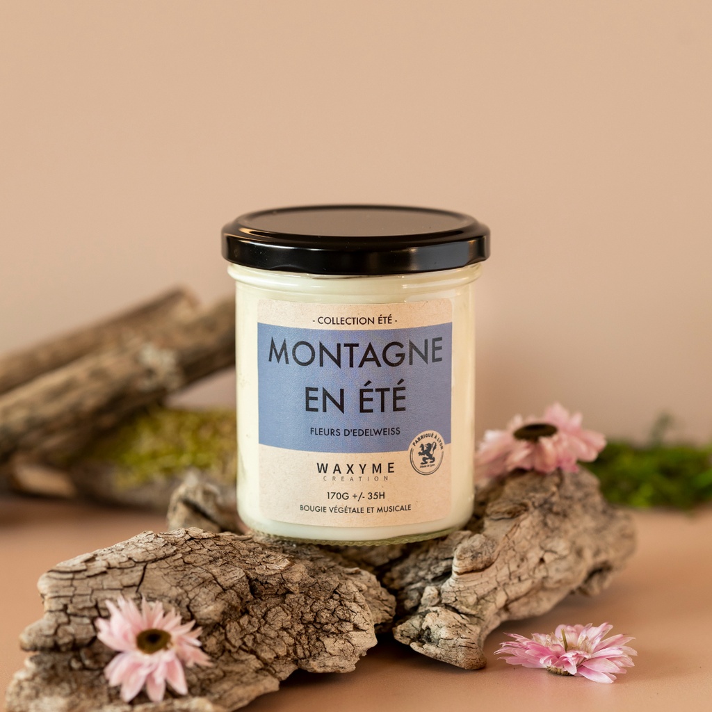 Montagne en été PRO