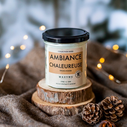 Ambiance Chaleureuse PRO